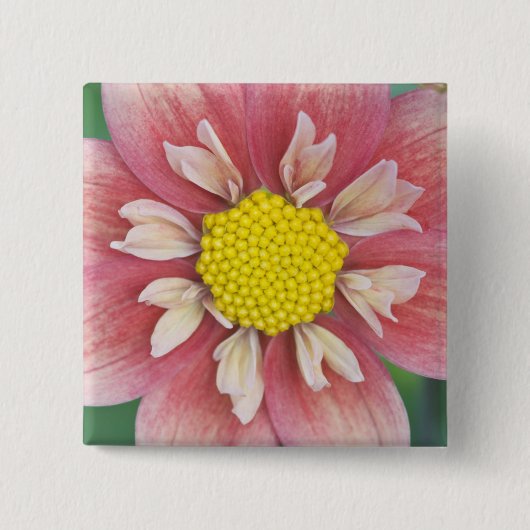 USA, Washington, Bellevue, Bellevue Botanical Button (Vorderseite)