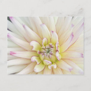 USA, Washington, Bellevue, Bellevue Botanischer Ga Postkarte