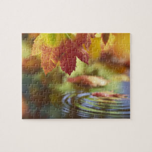 USA, Washington, Bellingham, Nahaufnahme des Herbs Puzzle