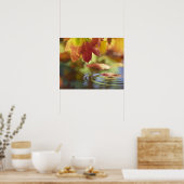 USA, Washington, Bellingham, Naher Herbstauflauf Poster (Küche)