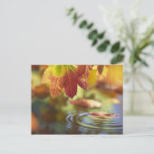 USA, Washington, Bellingham, Naher Herbstauflauf Postkarte (Stehend Vorderseite)