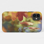 USA, Washington, Bellingham, Naher Herbstbeginn Case-Mate iPhone Hülle (Rückseite (Horizontal))