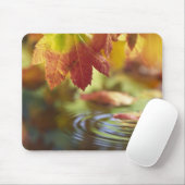 USA, Washington, Bellingham, Naher Herbstbeginn Mousepad (Mit Mouse)