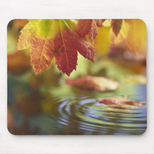 USA, Washington, Bellingham, Naher Herbstbeginn Mousepad (Vorne)