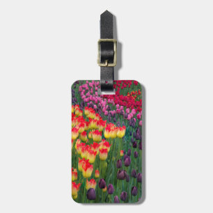 USA, Washington. Blühende Tulips 2 Gepäckanhänger