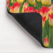 USA, Washington. Blühende Tulips 2 Mousepad (Ecke)