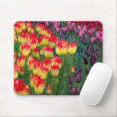 USA, Washington. Blühende Tulips 2 Mousepad (Mit Mouse)
