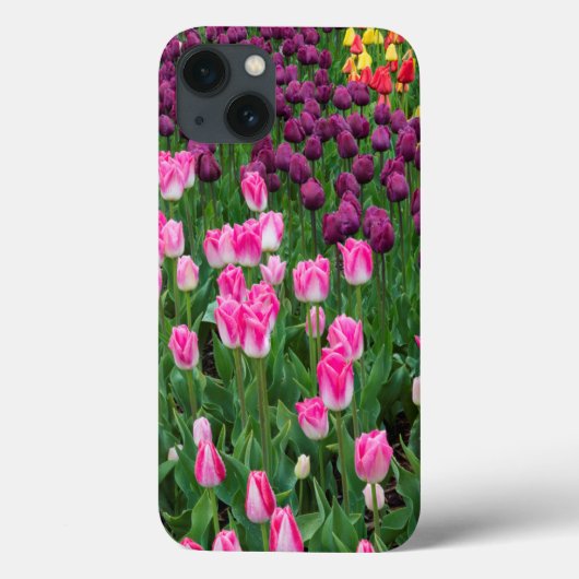 USA, Washington. Blühende Tulips Case-Mate iPhone Hülle (Rückseite)