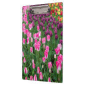 USA, Washington. Blühende Tulips Klemmbrett (Links)