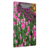 USA, Washington. Blühende Tulips Klemmbrett (Rechts)