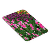 USA, Washington. Blühende Tulips Magnet (Rechte Seite)