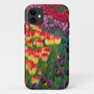 USA, Washington. Blühende Tulpen 2 Case-Mate iPhone Hülle