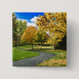 USA, Washington Button