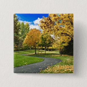 USA, Washington Button