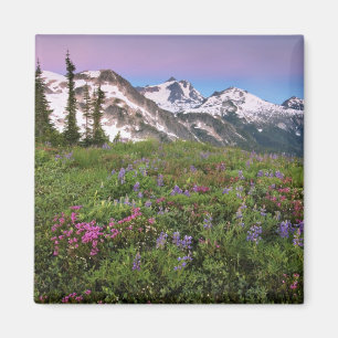 USA, Washington, Cascade Mountains, Nord Magnet