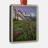 USA, Washington, Cascade Mountains, Nord Silbernes Ornament (Rechts)
