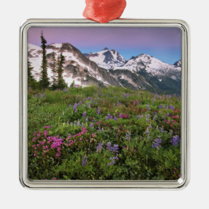 USA, Washington, Cascade Mountains, Nord Silbernes Ornament