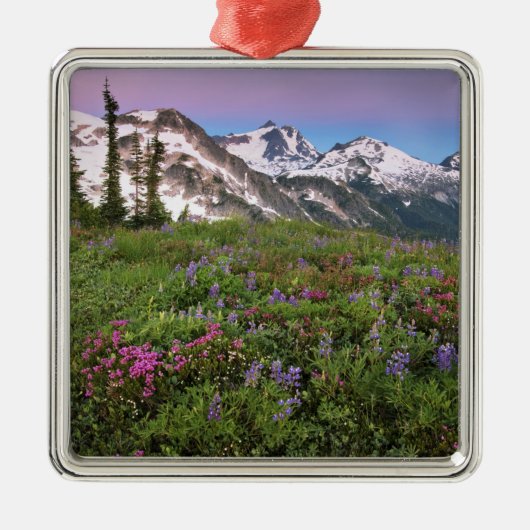 USA, Washington, Cascade Mountains, Nord Silbernes Ornament (Vorne)