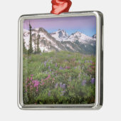 USA, Washington, Cascade Mountains, Nord Silbernes Ornament (Links)
