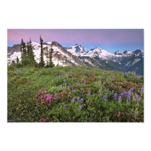 USA, Washington, Cascade Mountains, North Fotodruck (Vorne)