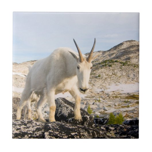 USA, Washington, Cascade Range 3 Fliese (Vorderseite)