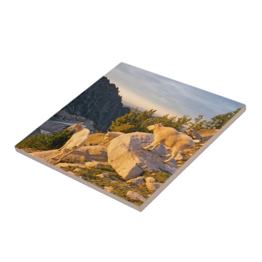 USA, Washington, Cascade Range 4 Fliese (Seite)
