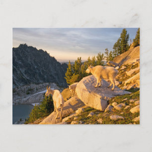 USA, Washington, Cascade Range 4 Postkarte