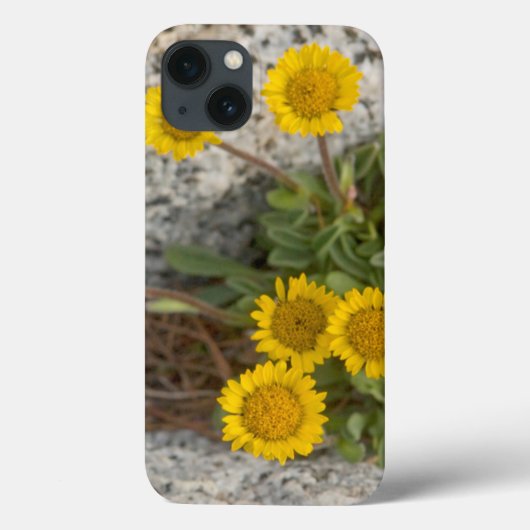 USA, Washington, Cascade Range 5 Case-Mate iPhone Hülle (Rückseite)