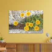 USA, Washington, Cascade Range 5 Leinwanddruck (Insitu (Wohnzimmer))