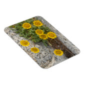 USA, Washington, Cascade Range 5 Magnet (Rechte Seite)