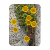 USA, Washington, Cascade Range 5 Magnet (Vertikal)
