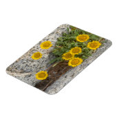 USA, Washington, Cascade Range 5 Magnet (Linke Seite)