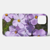 USA, Washington, Cascade Range 6 Case-Mate iPhone Hülle (Rückseite (Horizontal))