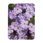 USA, Washington, Cascade Range 6 Magnet (Vertikal)