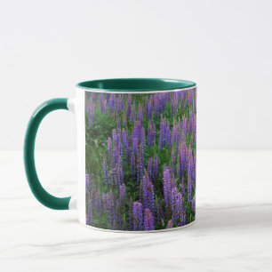 USA, Washington, Clallam County, Lupine Tasse