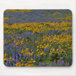 USA, Washington, Columbia River Gorge National Mousepad