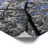 USA, Washington DC. Cherry Blossom Festival und 2 Poster (Ecke)