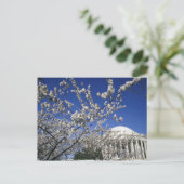 USA, Washington DC. Cherry Blossom Festival und 2 Postkarte (Stehend Vorderseite)