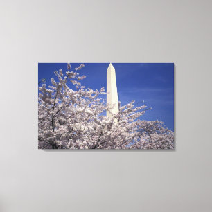 USA, Washington DC. Cherry Blossom Festival und Leinwanddruck