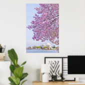 USA, Washington DC, Cherry tree in bloom Poster (Heimbüro)