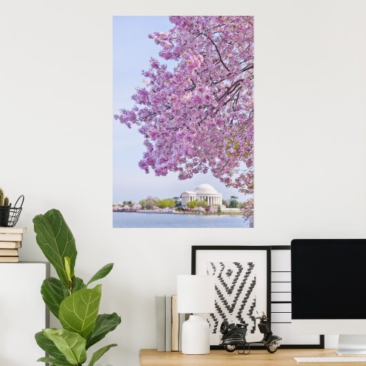 USA, Washington DC, Cherry tree in bloom Poster (Heimbüro)