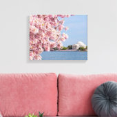 USA, Washington DC, Cherry Tree Leinwanddruck (Insitu (Wohnzimmer))
