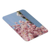 USA, Washington DC, Cherry Tree Magnet (Rechte Seite)
