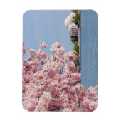 USA, Washington DC, Cherry Tree Magnet (Vertikal)