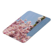 USA, Washington DC, Cherry Tree Magnet (Linke Seite)