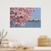 USA, Washington DC, Cherry Tree Poster (Küche)
