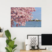 USA, Washington DC, Cherry Tree Poster (Heimbüro)