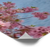 USA, Washington DC, Cherry Tree Poster (Ecke)