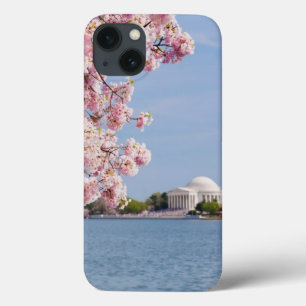 USA, Washington DC, Kirschbaum Case-Mate iPhone Hülle