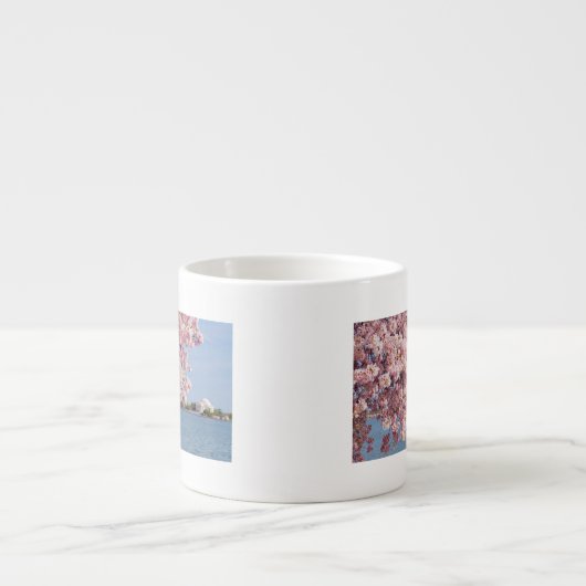 USA, Washington DC, Kirschbaum Espressotasse (Vorderseite)